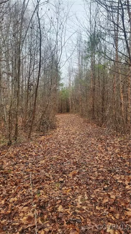 tbd Flat Rock Rd, Alberta, VA 23821 photo 22