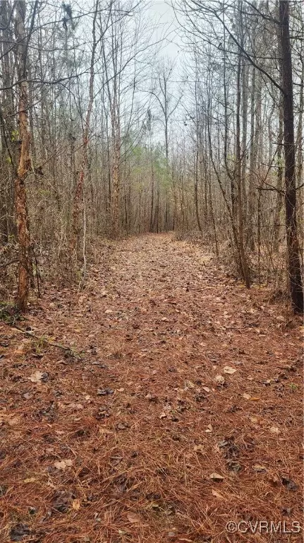 tbd Flat Rock Rd, Alberta, VA 23821 photo 7
