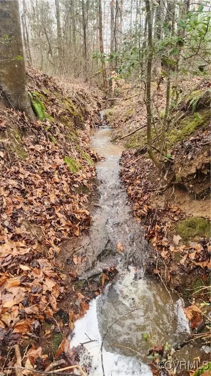 tbd Flat Rock Rd, Alberta, VA 23821 photo 9