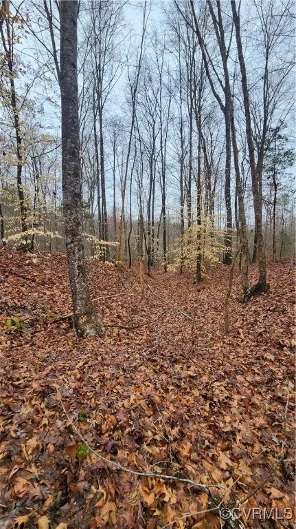 tbd Flat Rock Rd, Alberta, VA 23821 photo 12