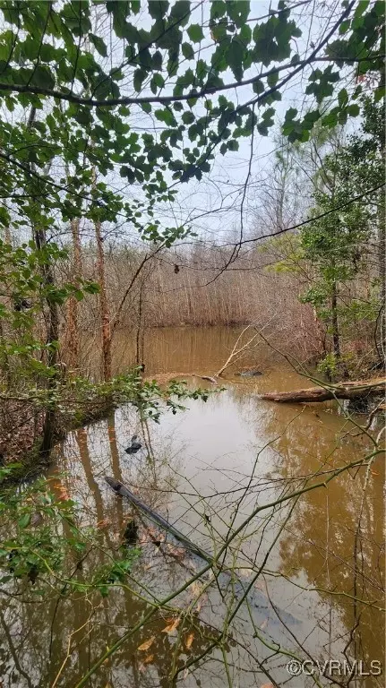 tbd Flat Rock Rd, Alberta, VA 23821 photo 19