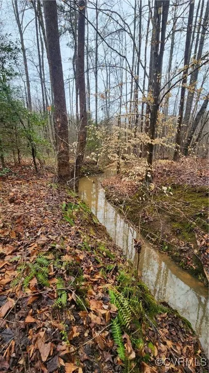 tbd Flat Rock Rd, Alberta, VA 23821 photo 8