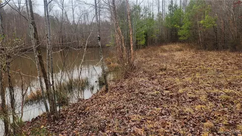 tbd Flat Rock Rd, Alberta, VA 23821 photo 10