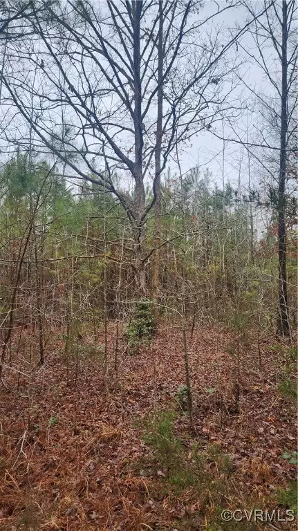 tbd Flat Rock Rd, Alberta, VA 23821 photo 24