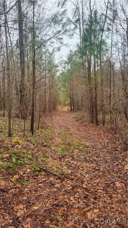 tbd Flat Rock Rd, Alberta, VA 23821 photo 21