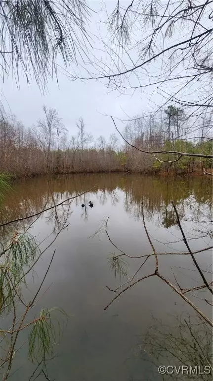 tbd Flat Rock Rd, Alberta, VA 23821 photo 15