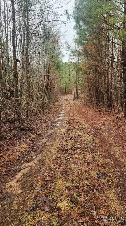tbd Flat Rock Rd, Alberta, VA 23821 photo 4
