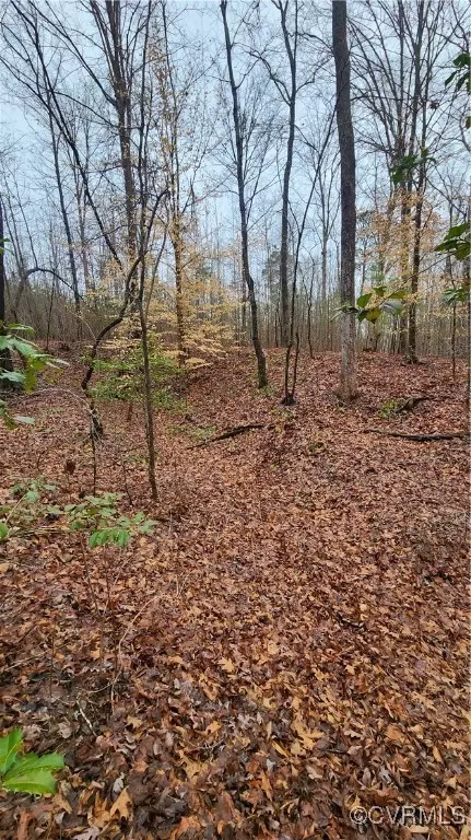 tbd Flat Rock Rd, Alberta, VA 23821 photo 11
