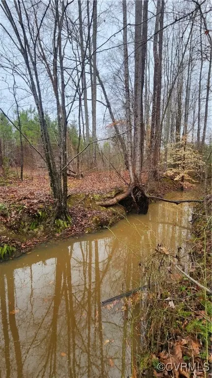 tbd Flat Rock Rd, Alberta, VA 23821 photo 20