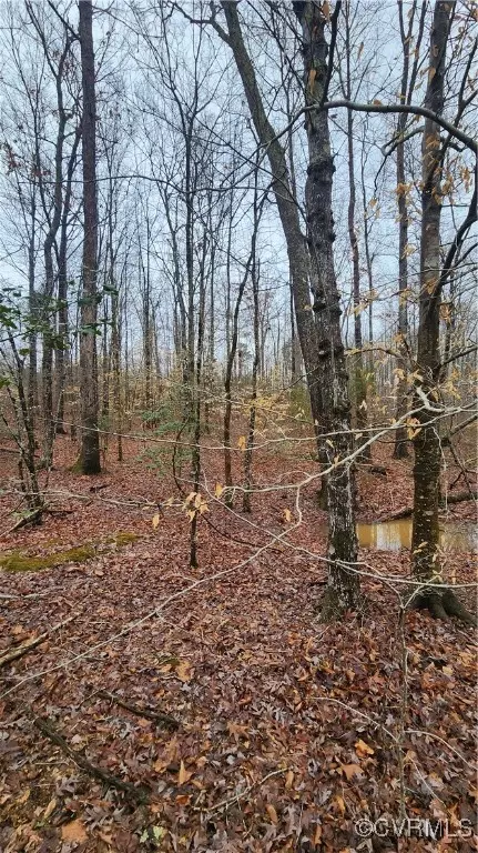 tbd Flat Rock Rd, Alberta, VA 23821 photo 17