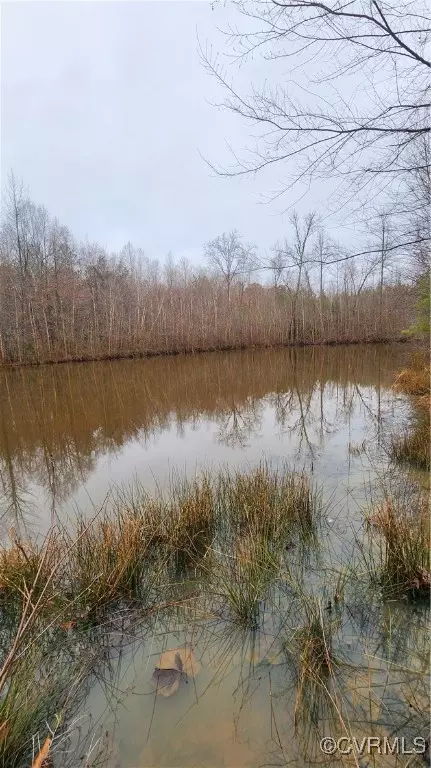 tbd Flat Rock Rd, Alberta, VA 23821 photo 18