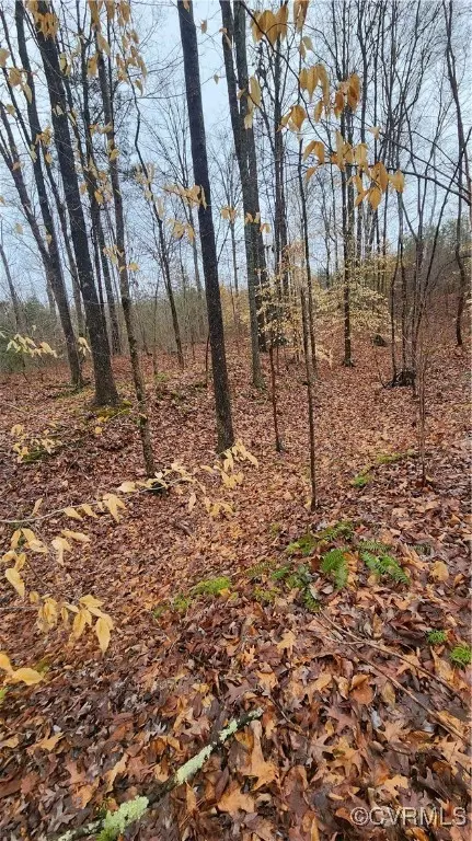 tbd Flat Rock Rd, Alberta, VA 23821 photo 14