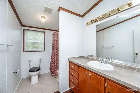 394 Tower Rd, Brodnax, VA 23920 photo 20