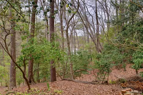 126 Crownpoint Rd, Williamsburg, VA 23185 photo 44