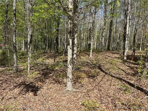 0 Ark Ave, Bumpass, VA 23024 photo 9