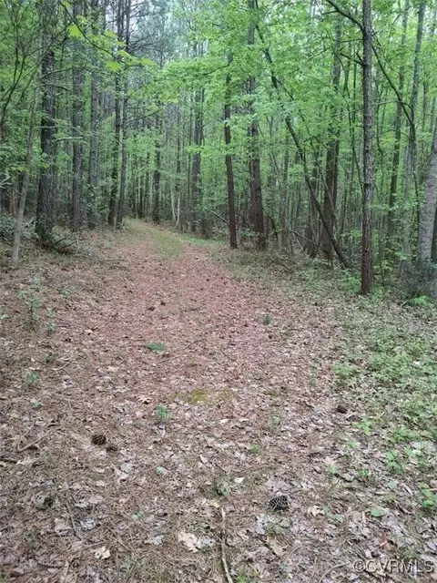 01 Taylorsville Rd, Shacklefords, VA 23156