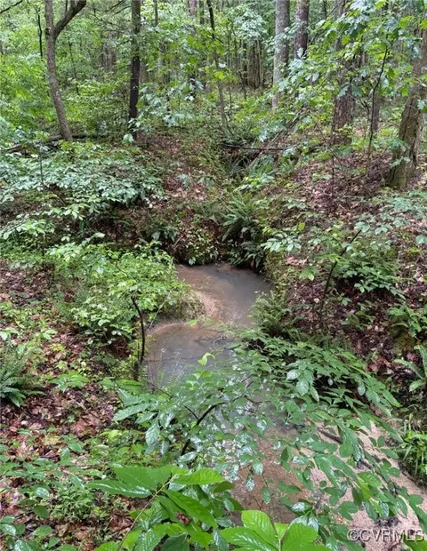 21 9 Acres Old Buckingham, Powhatan, VA 23139