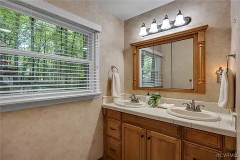 14702 Mill Spring Dr, Midlothian, VA 23112 photo 19