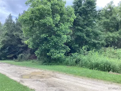 tbd County Line Rd, Disputanta, VA 23842