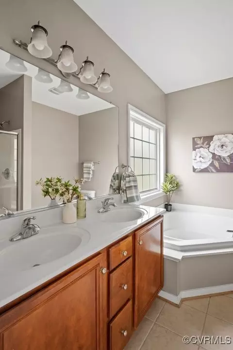 Bath - 941 Gorham Ct, Midlothian, VA 23114 photo 2 of 8