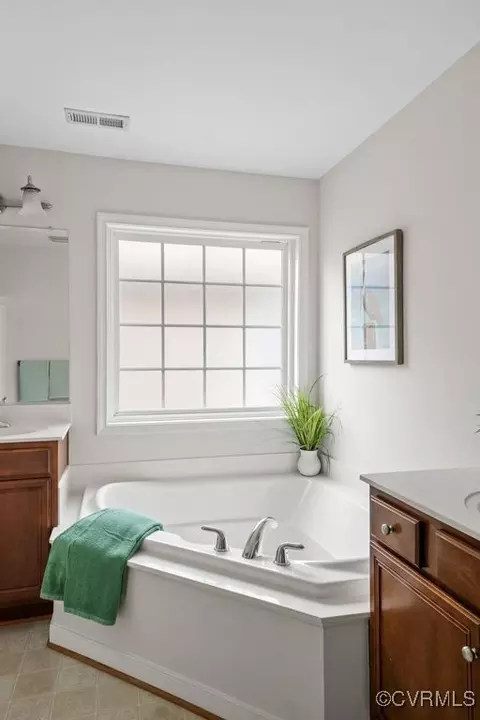 Bath - 941 Gorham Ct, Midlothian, VA 23114 photo 7 of 8