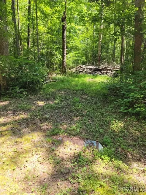 000 Ellis Dr, Maidens, VA 23102