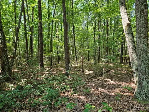5 6 Ac Meadow Creek Rd, Wingina, VA 24599