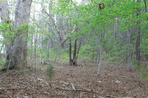 tbd Grandy Rd, Brodnax, VA 23920 photo 6