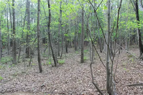 tbd Grandy Rd, Brodnax, VA 23920 photo 9