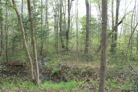 tbd Grandy Rd, Brodnax, VA 23920 photo 24