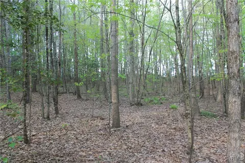 tbd Grandy Rd, Brodnax, VA 23920 photo 13