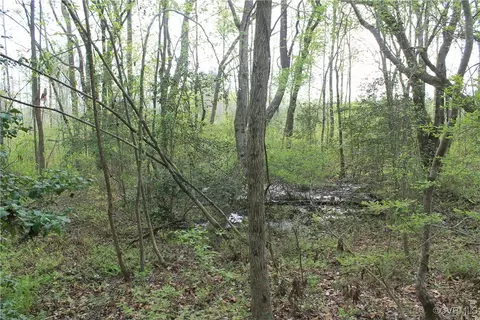 tbd Grandy Rd, Brodnax, VA 23920 photo 25