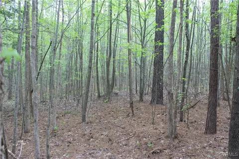 tbd Grandy Rd, Brodnax, VA 23920 photo 19