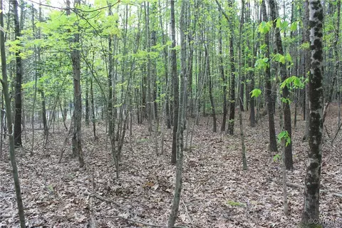 tbd Grandy Rd, Brodnax, VA 23920 photo 12