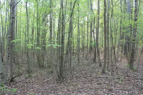 tbd Grandy Rd, Brodnax, VA 23920 photo 21