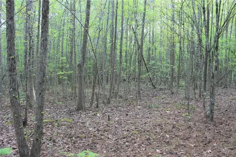 tbd Grandy Rd, Brodnax, VA 23920 photo 20