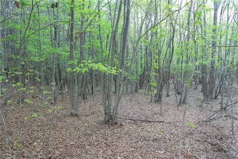 tbd Grandy Rd, Brodnax, VA 23920 photo 7