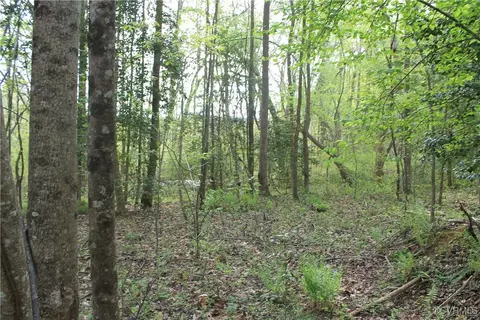 tbd Grandy Rd, Brodnax, VA 23920 photo 23