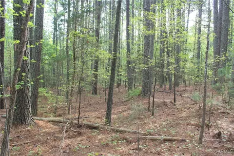 tbd Grandy Rd, Brodnax, VA 23920 photo 28