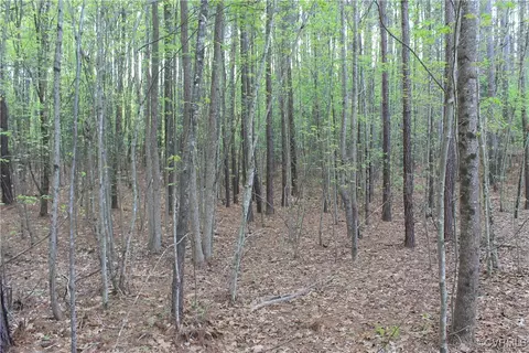 tbd Grandy Rd, Brodnax, VA 23920 photo 17