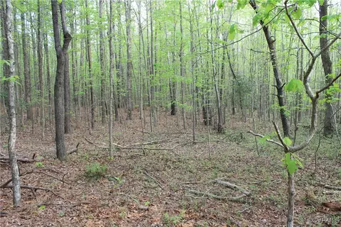 tbd Grandy Rd, Brodnax, VA 23920 photo 22