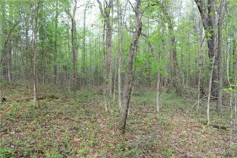 tbd Grandy Rd, Brodnax, VA 23920 photo 26