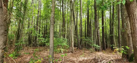 39 141 Hudgins Ln, Susan, VA 23163