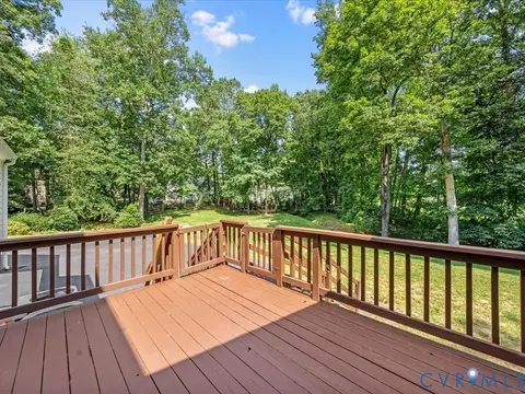 300 Ashtree Pl, Midlothian, VA 23114 photo 38