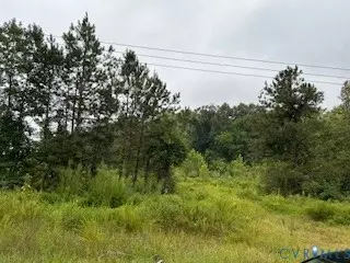 1 Rolfe Hwy, Dendron, VA 23839