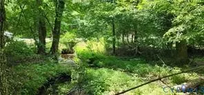 1370 Jasmine Rd, Goochland, VA 23063
