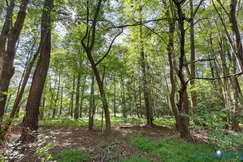 12800 Lewis Rd, Chester, VA 23831 photo 5