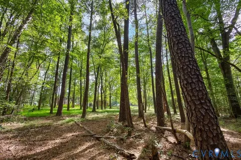 12800 Lewis Rd, Chester, VA 23831 photo 3