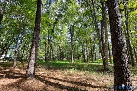 12800 Lewis Rd, Chester, VA 23831 photo 2