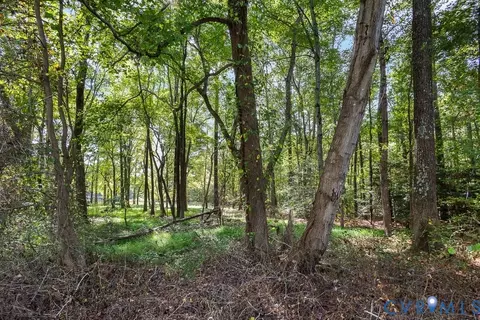 12800 Lewis Rd, Chester, VA 23831 photo 4